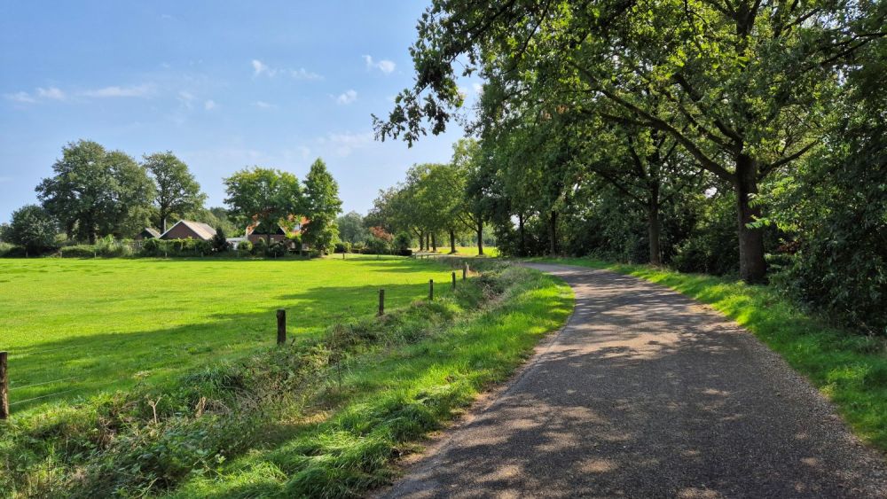 Landweggetje langs hoeves in Twente